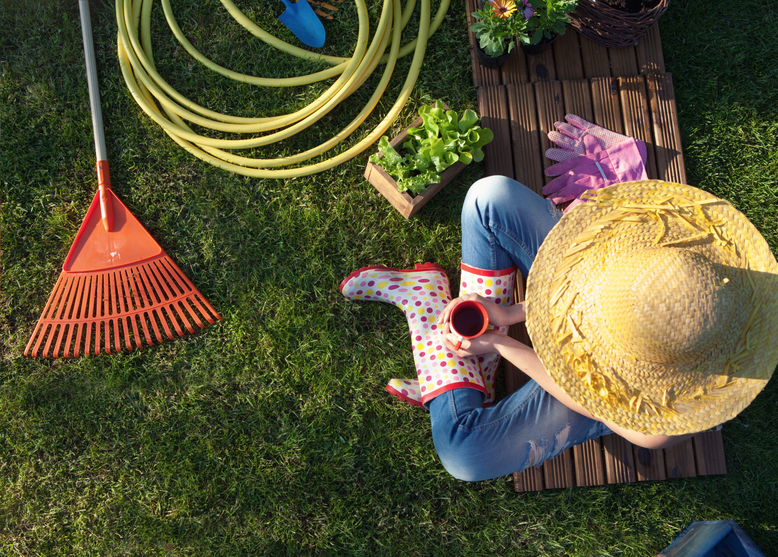 Tips for Gardening and Lawn Maintenance