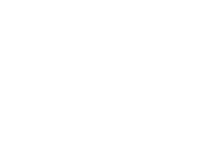 Conner Homes Spring Into Savings Logo