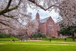 Spring bloom in Washington