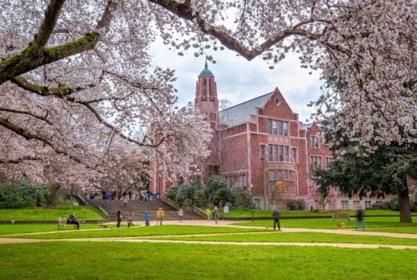 Spring bloom in Washington